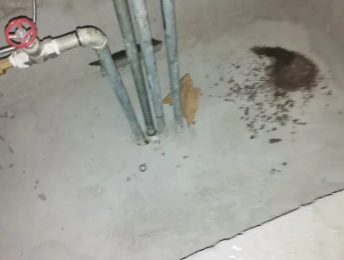 玉溪市卫生间测漏水价格明细